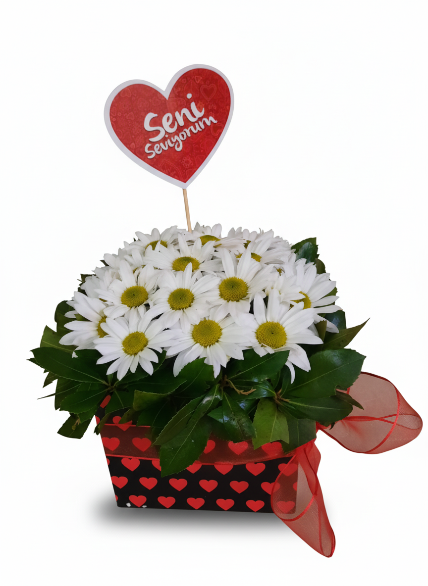 Kutuda Papatyalar - Naturel Çiçekçilik